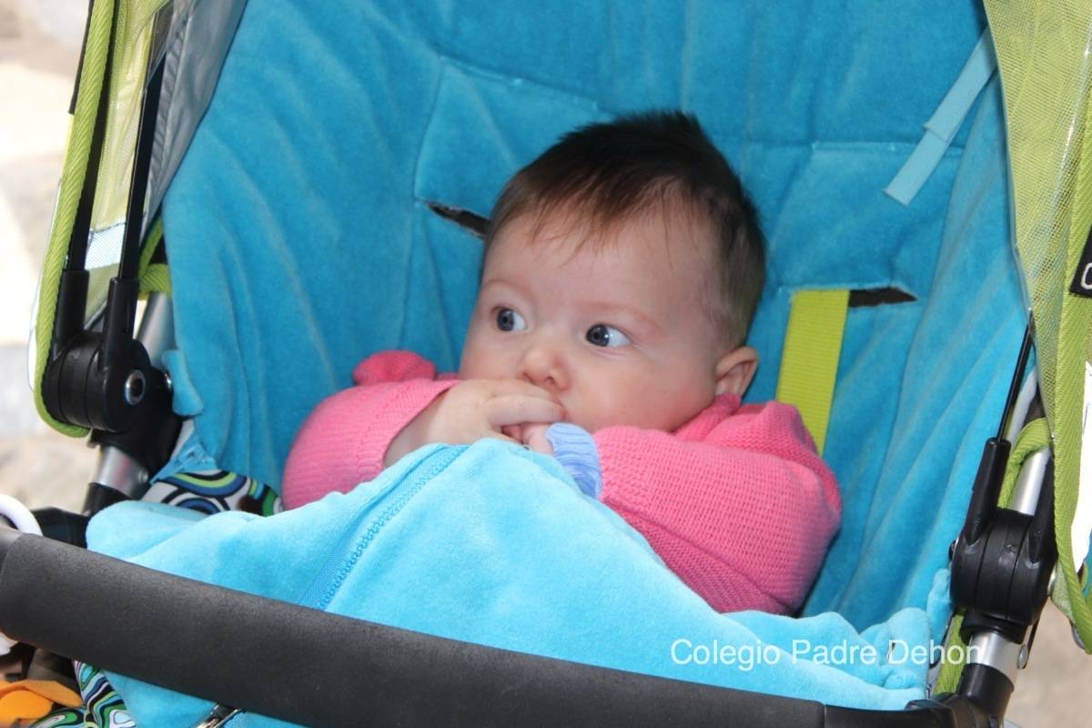 2014 03 14 BAILES PRIMARIA (10)